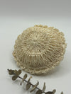 Esponja Redonda de Fibra de Maguey